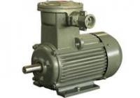 防爆電動(dòng)機(jī)